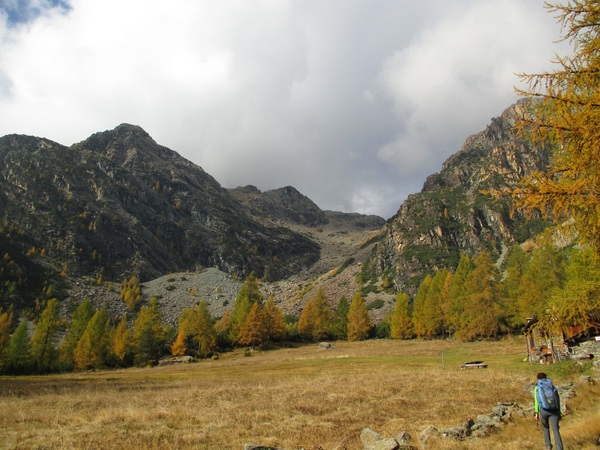 autunno cachi