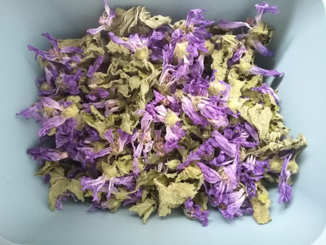 tisana di malva essiccata