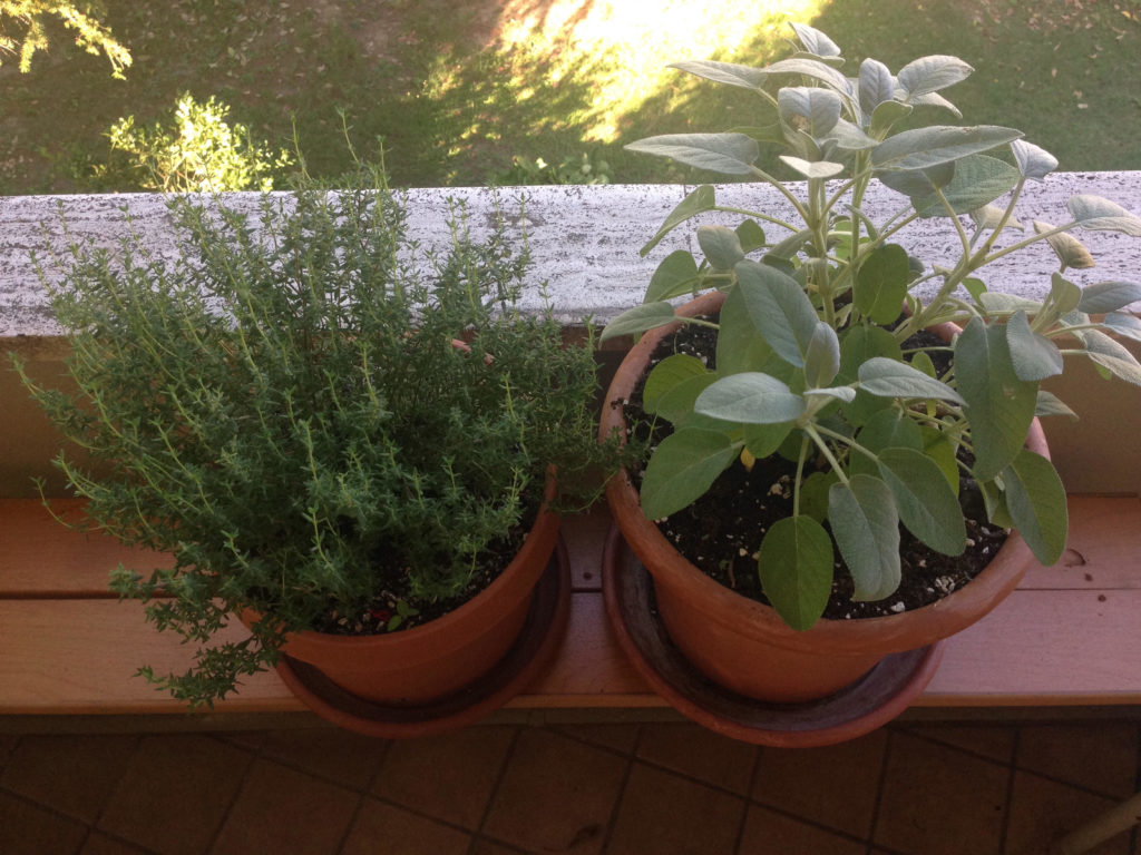 deodorante salvia e timo