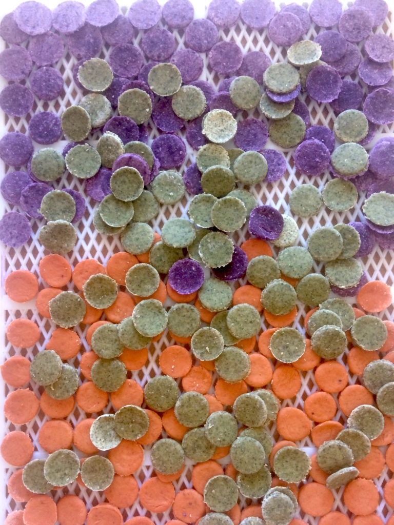 pasta essiccata con biosec