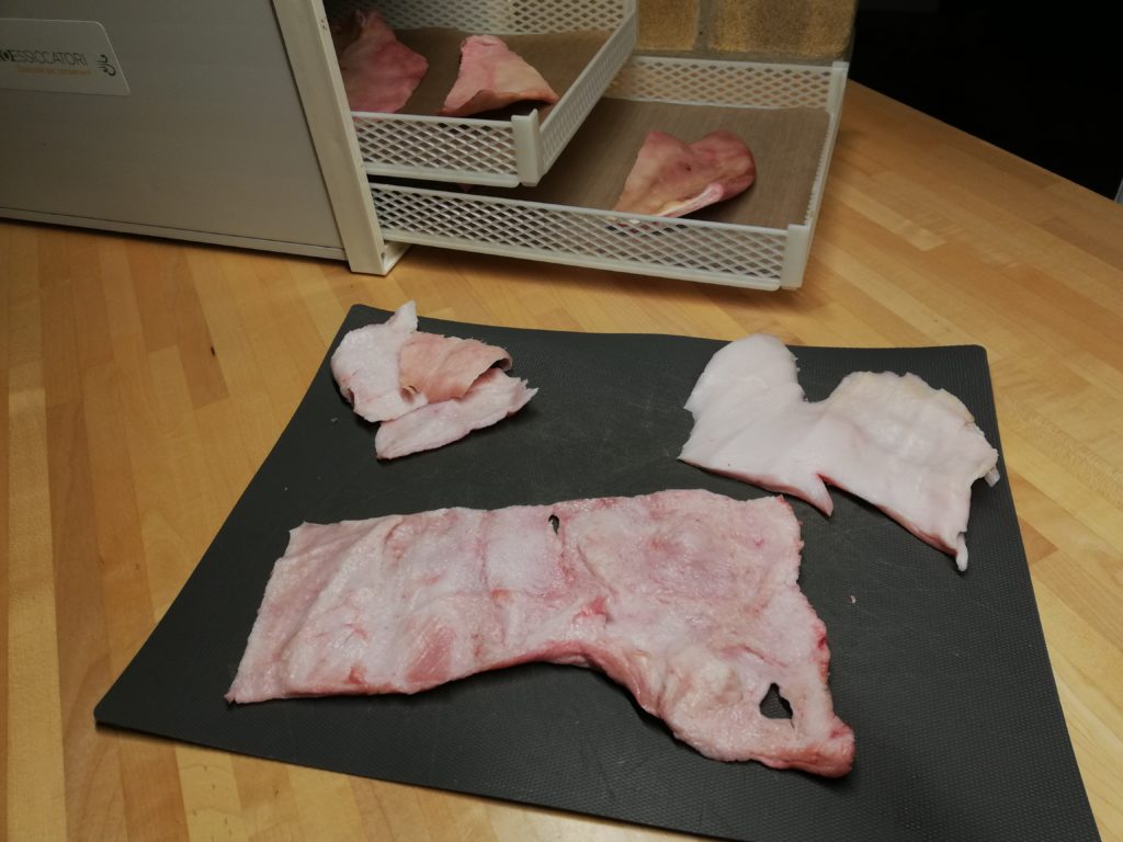 snack essiccati per cani