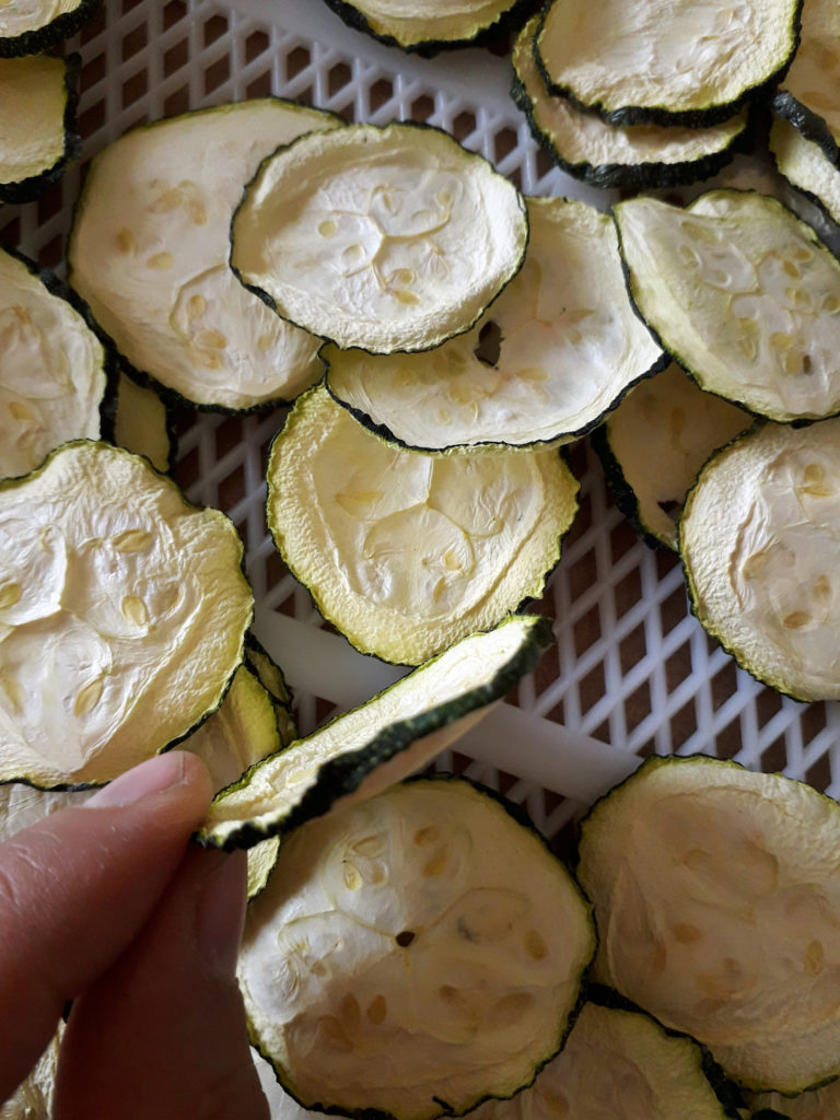 zucchine giganti essiccate