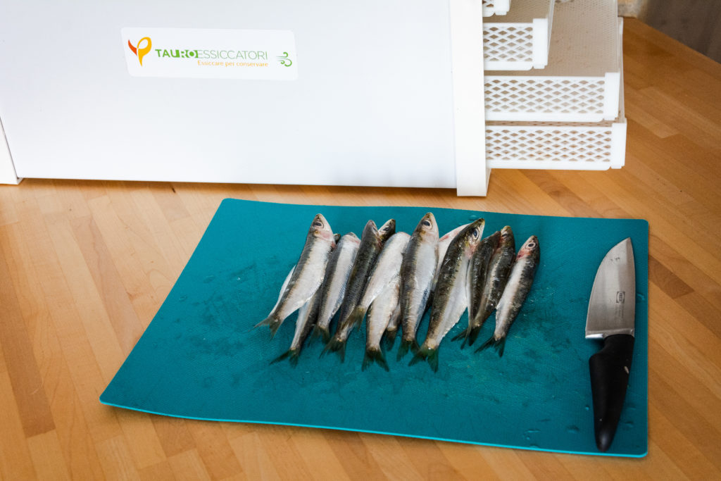 sardine essiccate