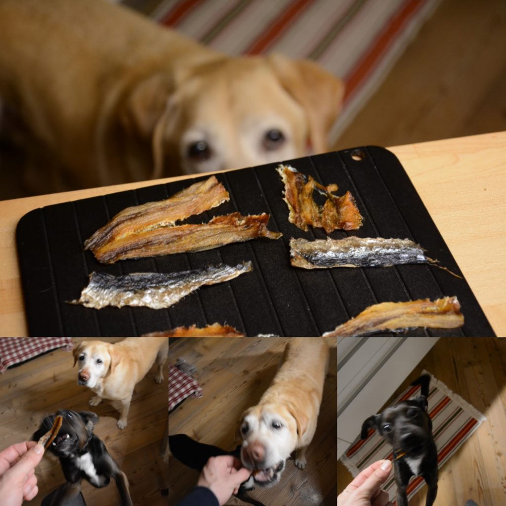 sardine essiccate