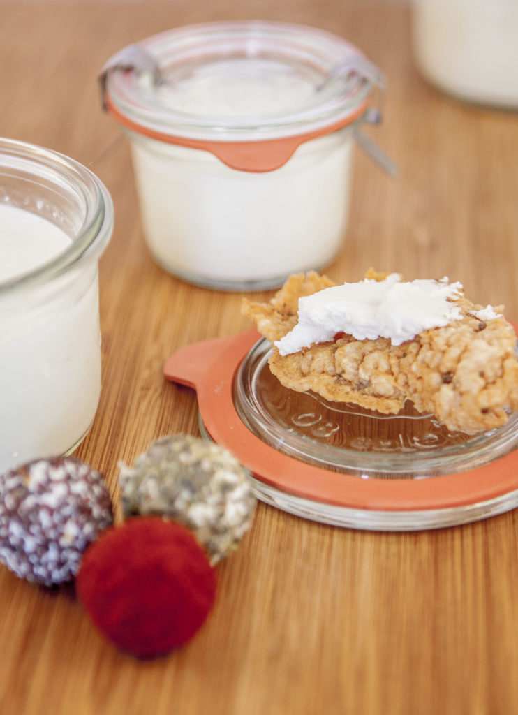 Yogurt fermentato in essiccatore