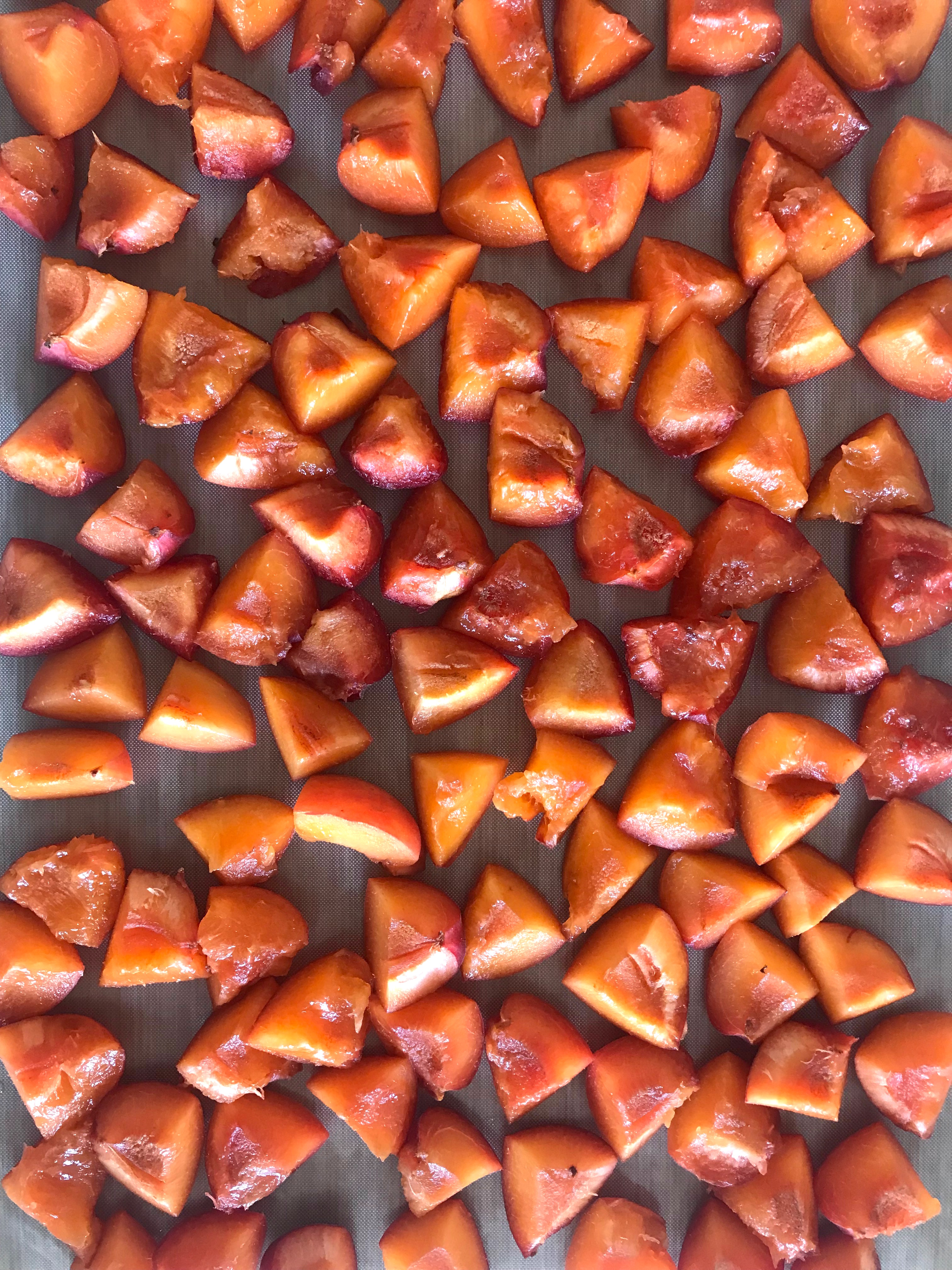 frutta estiva essiccata