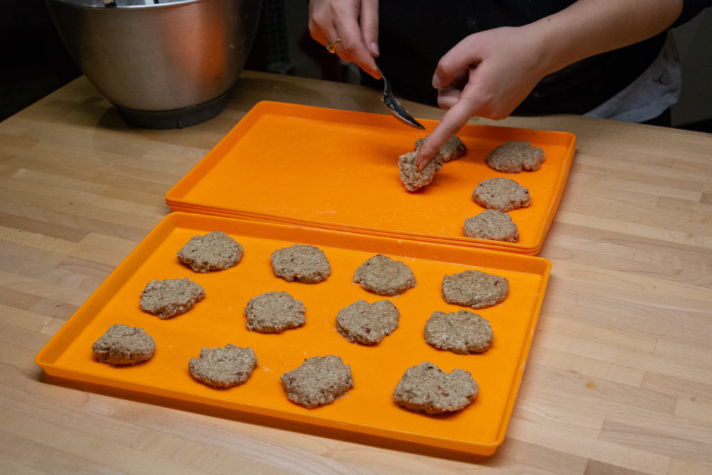 biscotti frutta essiccata per animali