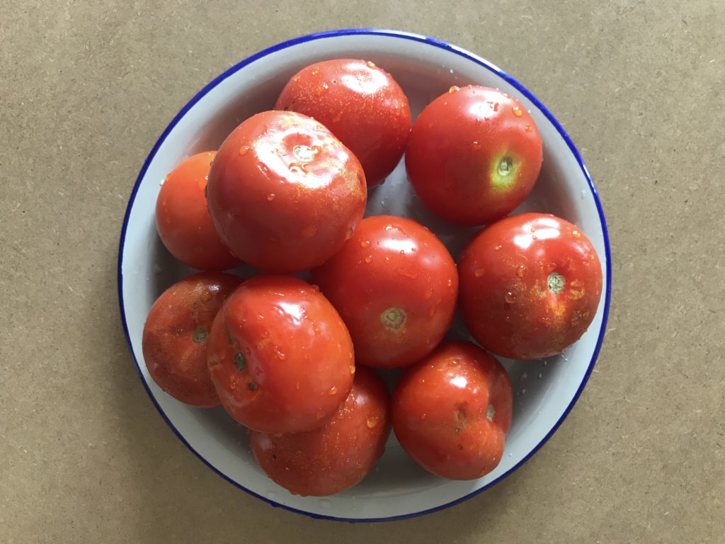 pappa al pomodoro essiccata