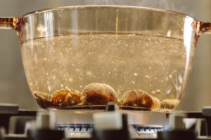 Chef Dalicandro - Tauro essiccatori - Marron Glacé come prepararli con l'essiccatore (0)
