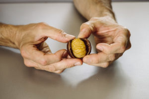 Chef Dalicandro - Tauro essiccatori - Marron Glacé come prepararli con l'essiccatore (1)