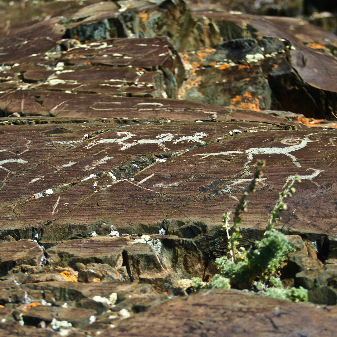 A closeup shot of drawings on stones of prehistoric humans before civilization