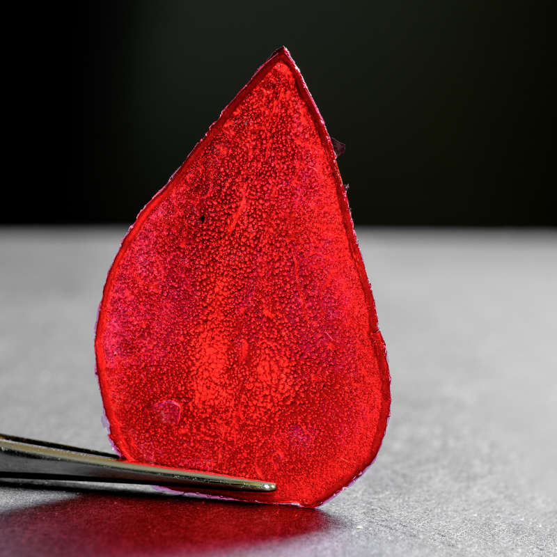 chips essiccate di mele e pere