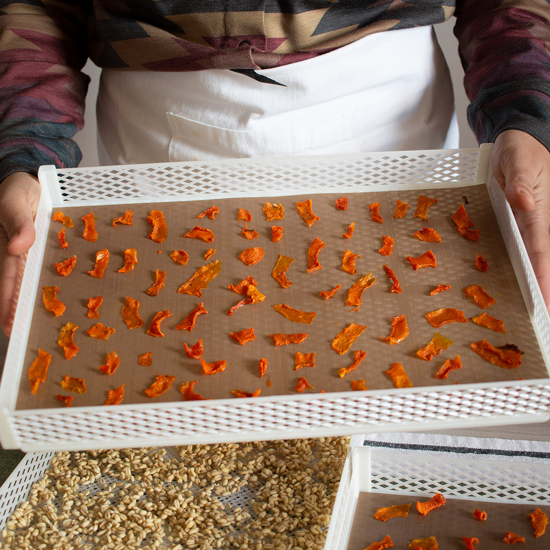 Zucca e Orzo essiccati