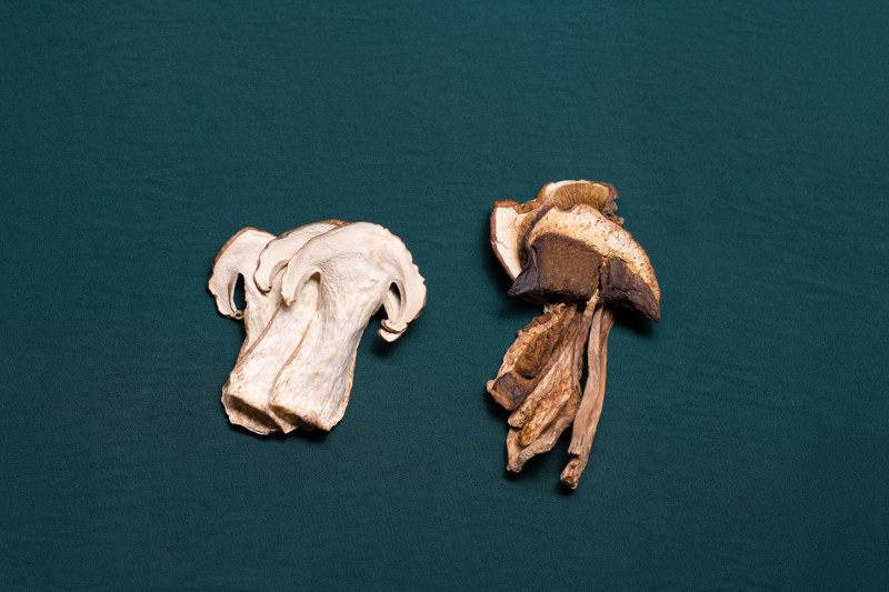 Tauro essiccatori - chef dalicandro - funghi secchi -come come prepararli con l'essiccatore - foto igor todisco (2)