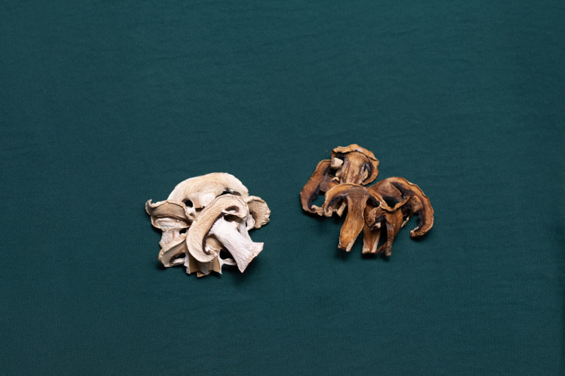 Tauro essiccatori - chef dalicandro - funghi secchi -come come prepararli con l'essiccatore - foto igor todisco (3)