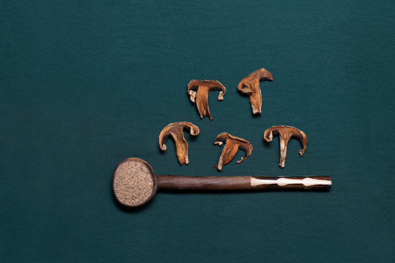 Tauro essiccatori - chef dalicandro - funghi secchi -come come prepararli con l'essiccatore - foto igor todisco (4)