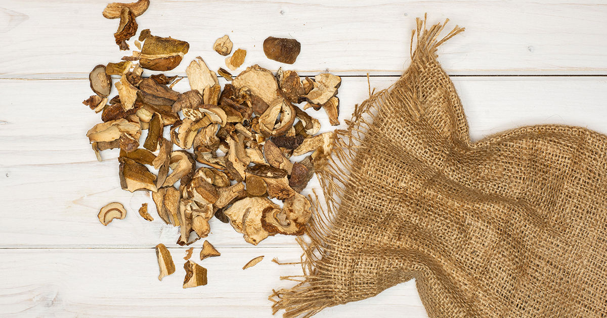 funghi-secchi_sacco_nicolo-oppicelli_tauro-essiccatori_1200x630