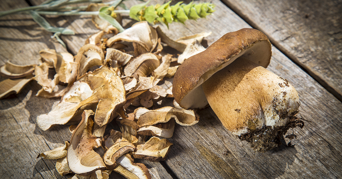 funghi-secchi_tea_boletus_nicolo-oppicelli_tauro-essiccatori_1200x630