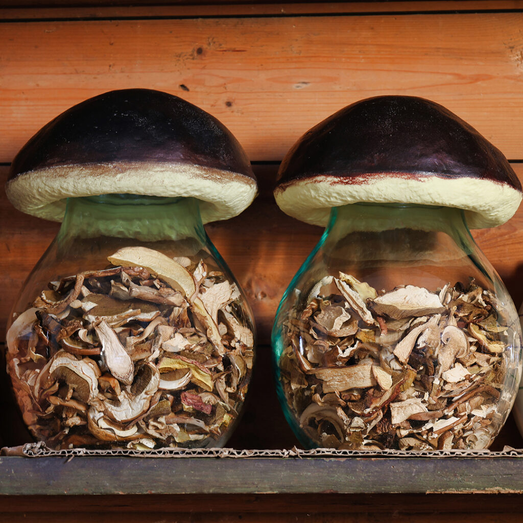 two glass jars of dried mushrooms on old wooden shelf