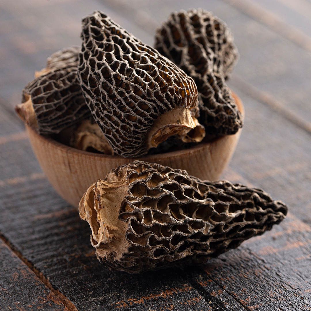 Wild Harvested Morel Mushrooms Trimmed and Dried