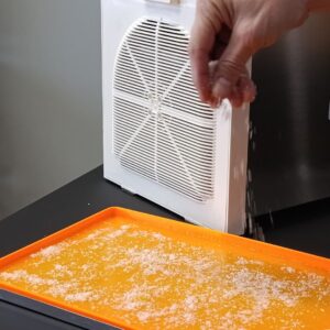 preparazione fruit leather di ananas e cocco