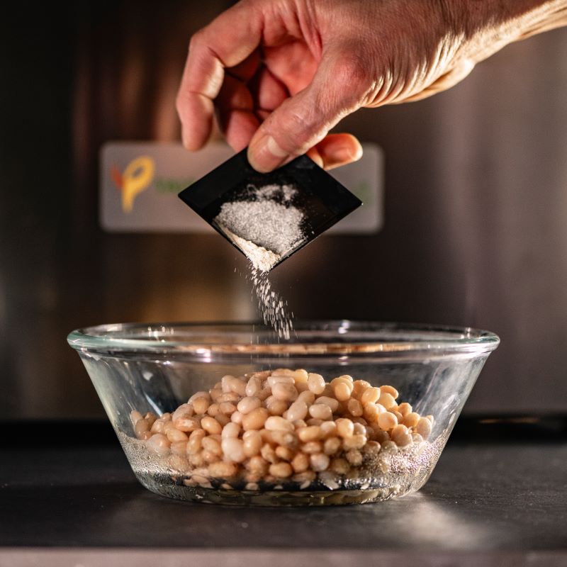 tempeh - starter