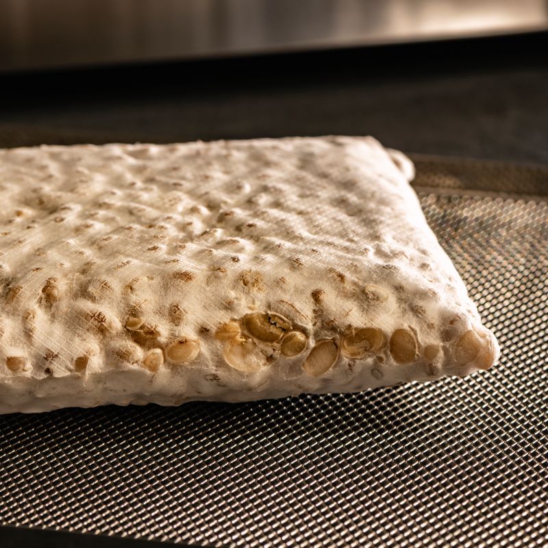 tempeh