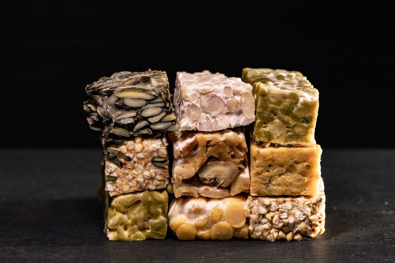 tempeh
